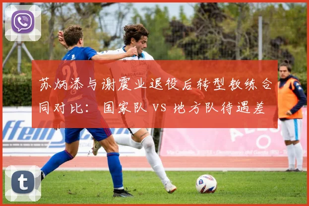 苏炳添与谢震业退役后转型教练合同对比:国家队 vs 地方队待遇差异