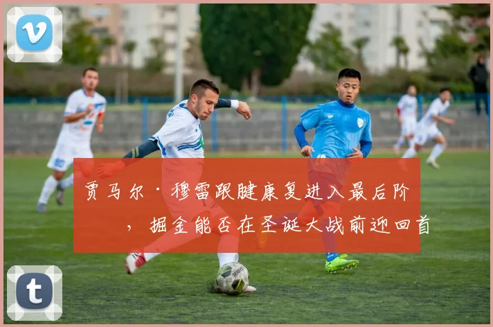 贾马尔·穆雷跟腱康复进入最后阶段,掘金能否在圣诞大战前迎回首发控卫?