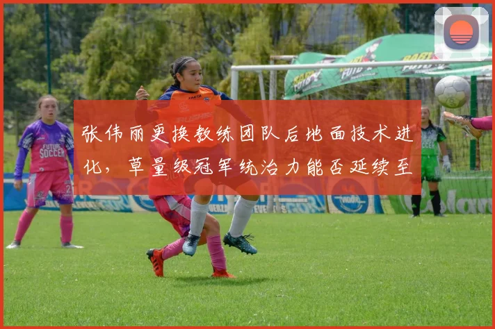 张伟丽更换教练团队后地面技术进化，草量级冠军统治力能否延续至2027？